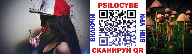 Галлюциногенные грибы Cubensis Гудермес